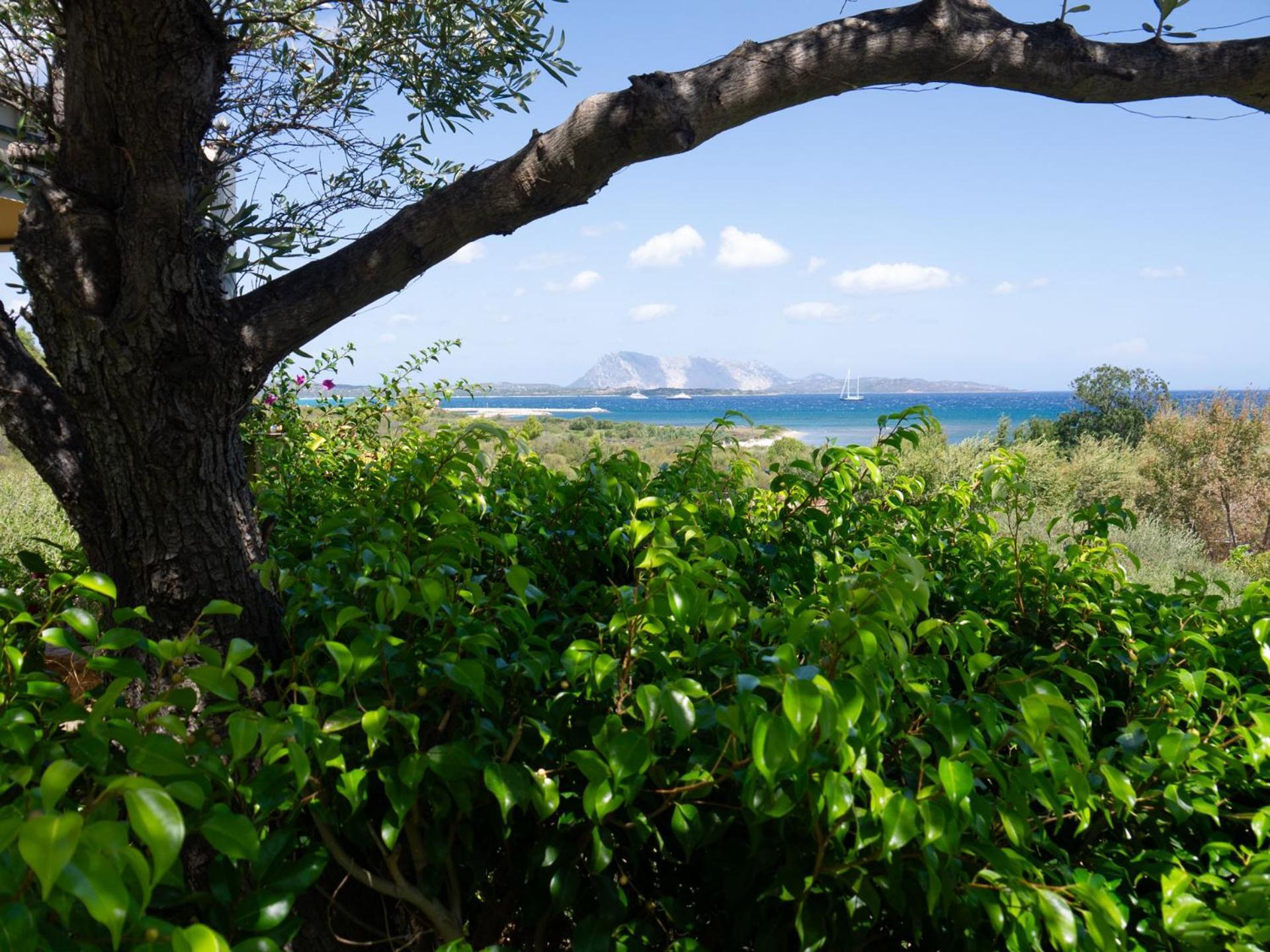 Villa Minda Lodge & View San Teodoro  Kültér fotó